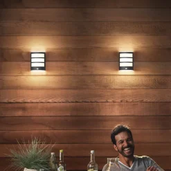 Philips LED buiten wandlamp Python UE, antraciet, sensor