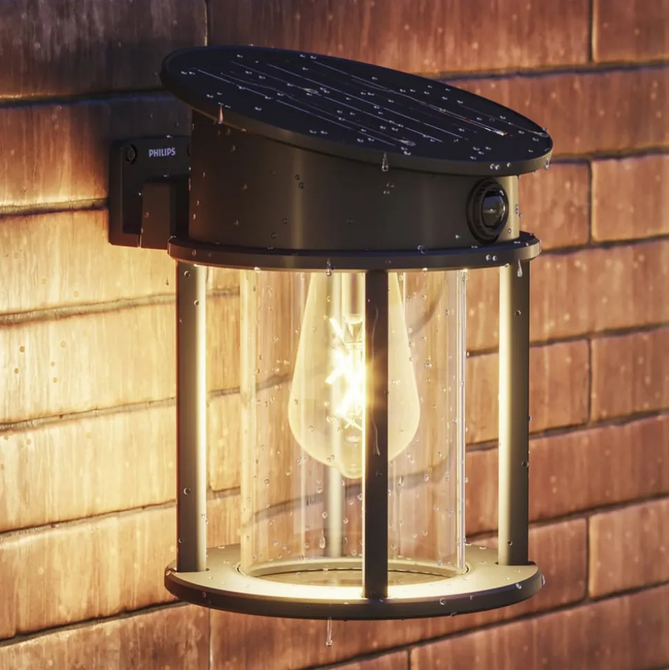 Philips LED buiten wandlamp Geri UE Sensor, rond, IP44