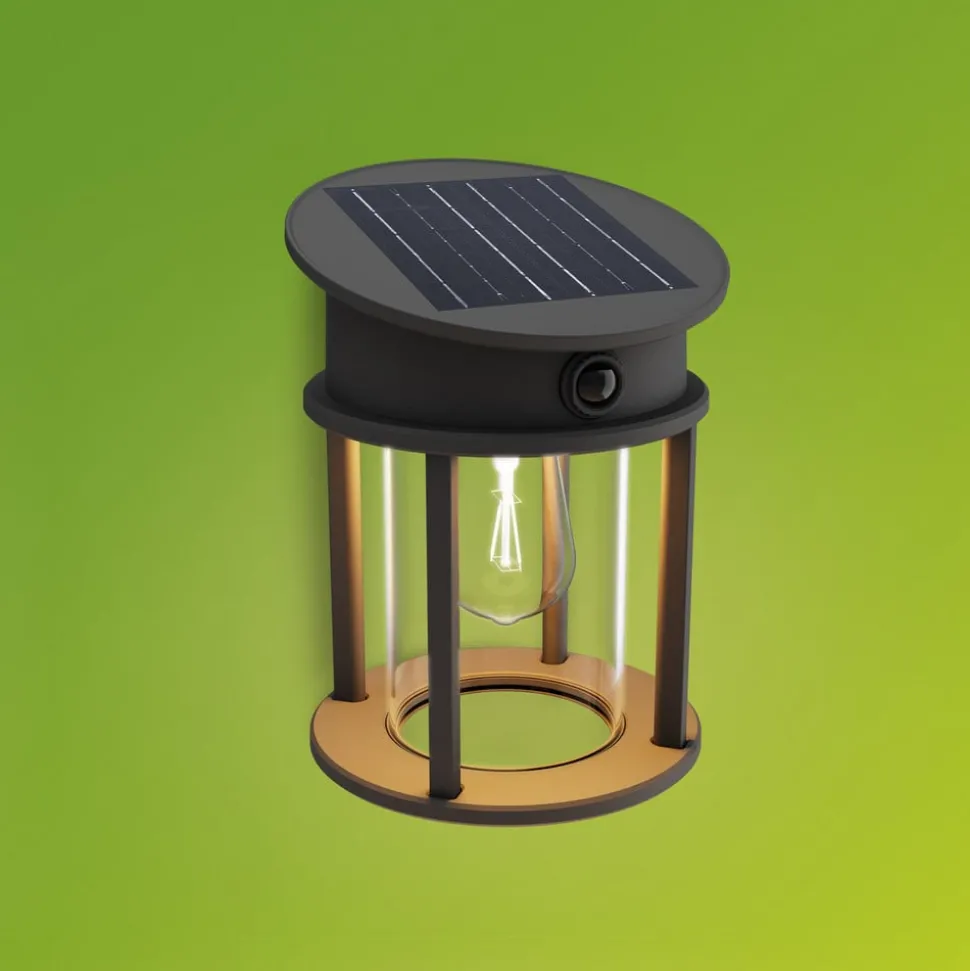 Philips LED buiten wandlamp Geri UE Sensor, rond, IP44