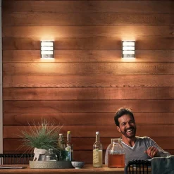 Philips LED buitenwandlamp Python UE, grijs, sensor