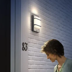 Philips LED buitenwandlamp Petronia UE, sensor