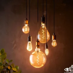 Philips LED Classic E14 P45 2,6W 1.800K goud dim