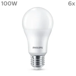 Philips LED lamp E27 13W 1.521lm 2.700K mat per 6