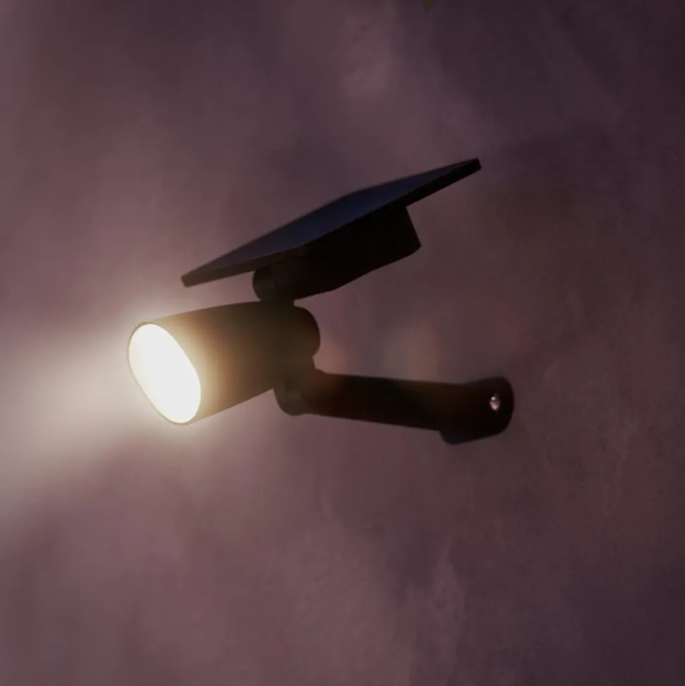 Philips LED-buitenspot Ashlyn, zwart, IP44