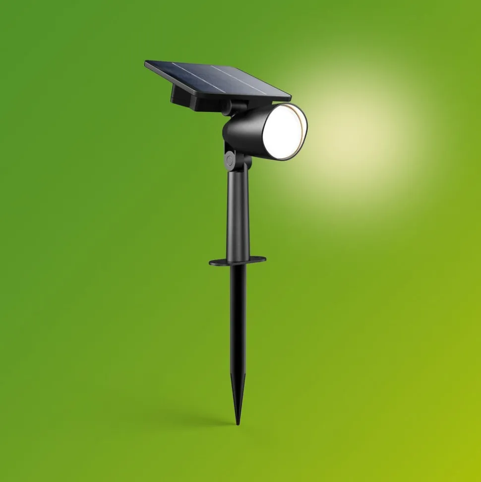 Philips LED-buitenspot Ashlyn, zwart, IP44