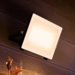 Philips LED-buitenspot Lois UE flood, 24 W, 3.000 K, IP65