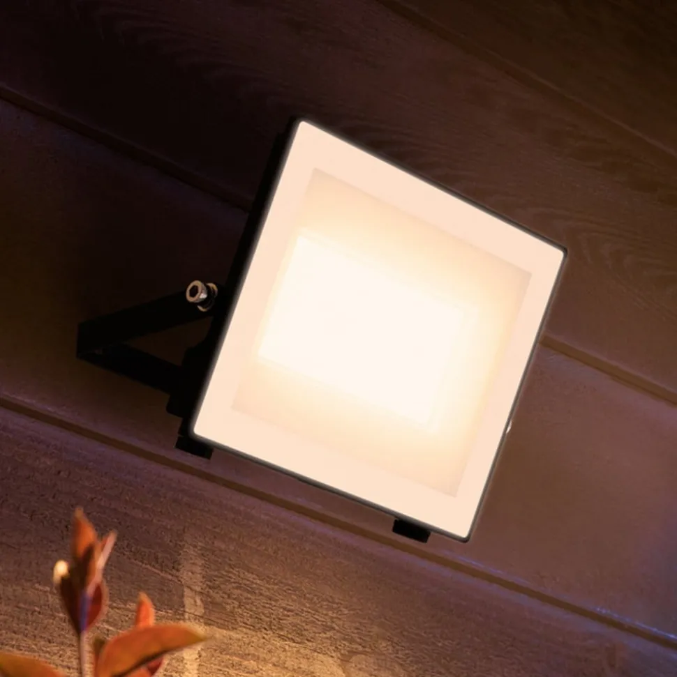 Philips LED-buitenspot Lois UE flood, 24 W, 3.000 K, IP65