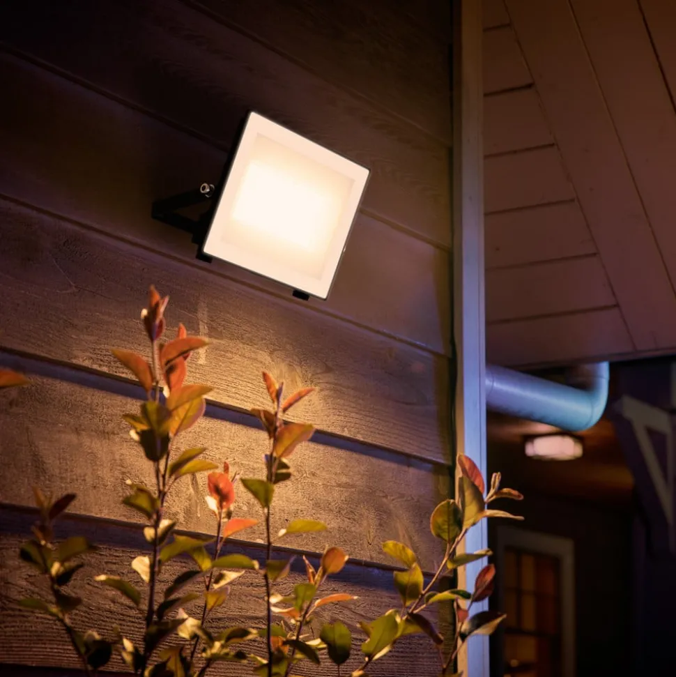 Philips LED-buitenspot Lois UE flood, 24 W, 3.000 K, IP65