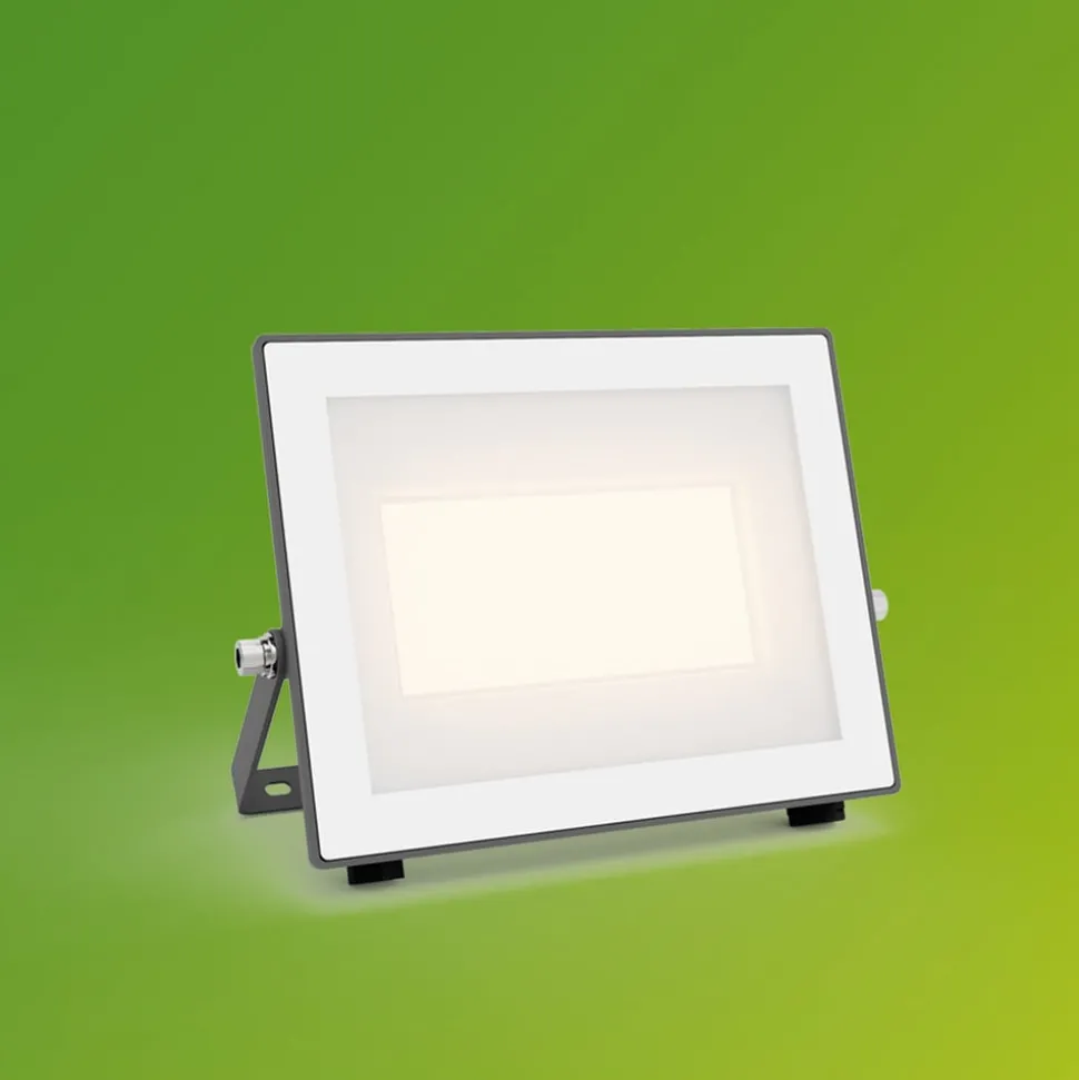 Philips LED-buitenspot Lois UE flood, 24 W, 3.000 K, IP65