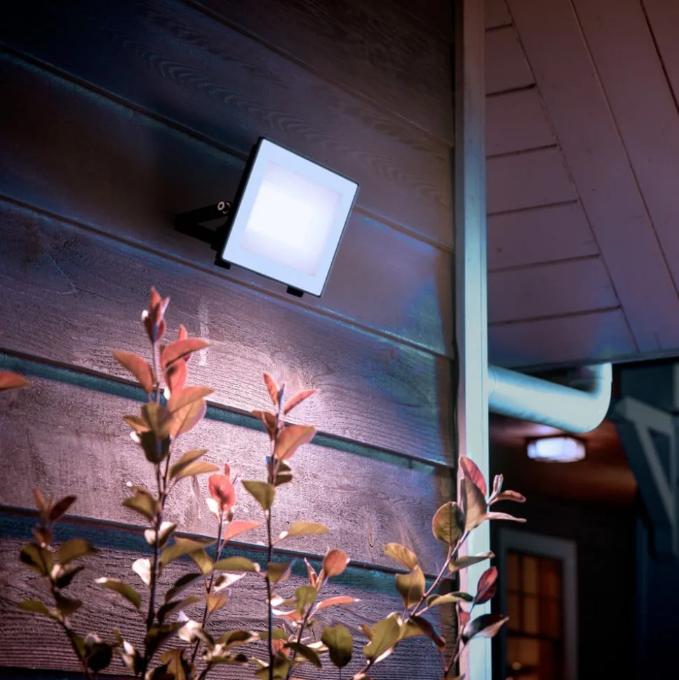 Philips LED-buitenspot Lois UE flood, 14 W, 5.000 K, IP65