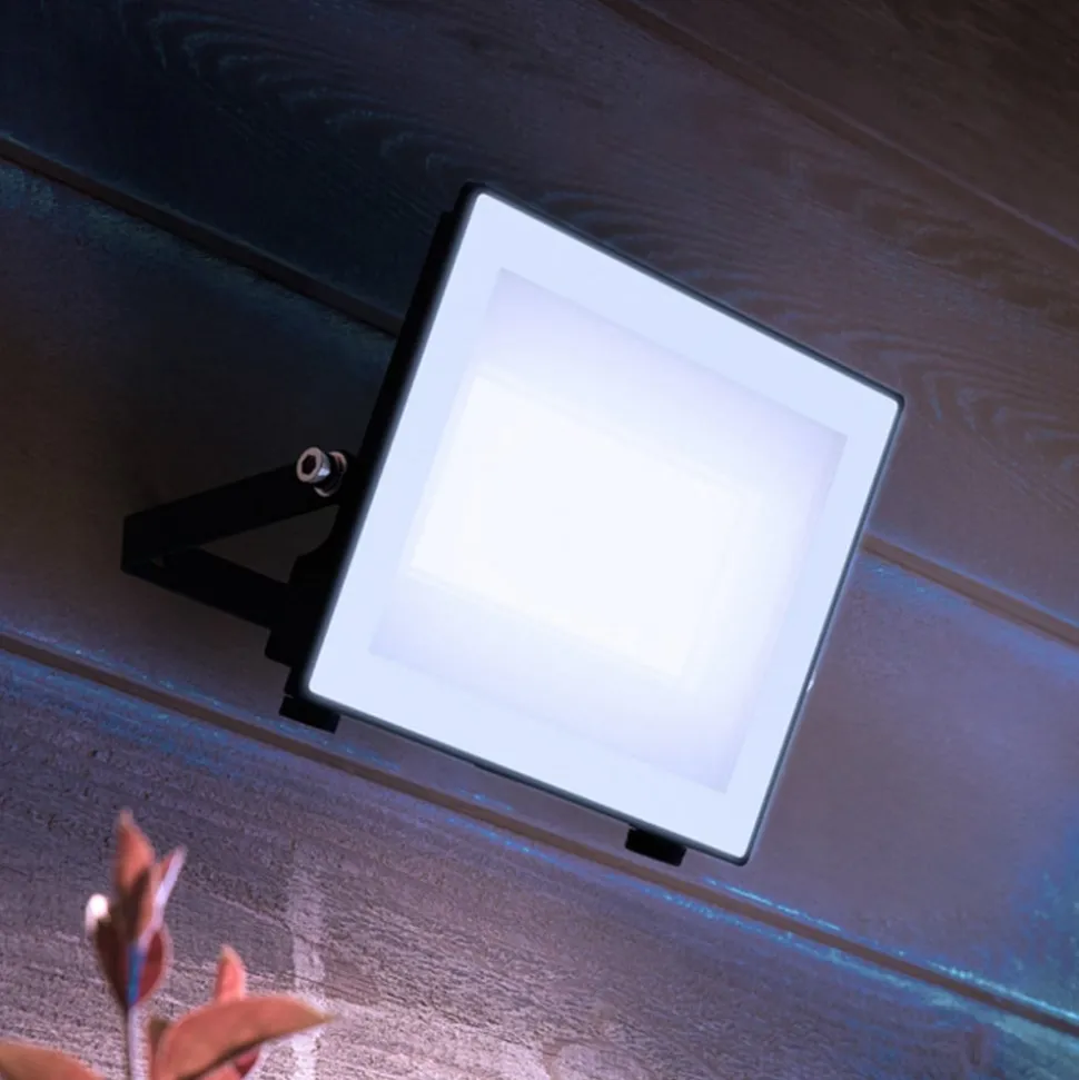 Philips LED-buitenspot Lois UE flood, 24 W, 5.000 K, IP65