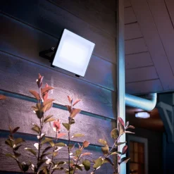 Philips LED-buitenspot Lois UE flood, 24 W, 5.000 K, IP65