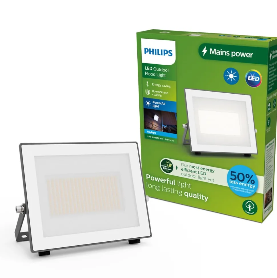 Philips LED-buitenspot Lois UE flood, 24 W, 5.000 K, IP65