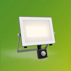 Philips LED-buitenspot Lois UE Sensor, 24 W, 3.000 K IP65