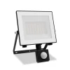 Philips LED-buitenspot Lois UE Sensor, 14 W, 5.000 K IP65