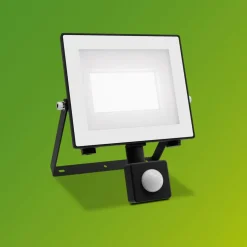 Philips LED-buitenspot Lois UE Sensor, 14 W, 5.000 K IP65