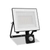 Philips LED-buitenspot Lois UE Sensor, 14 W, 3.000 K IP65