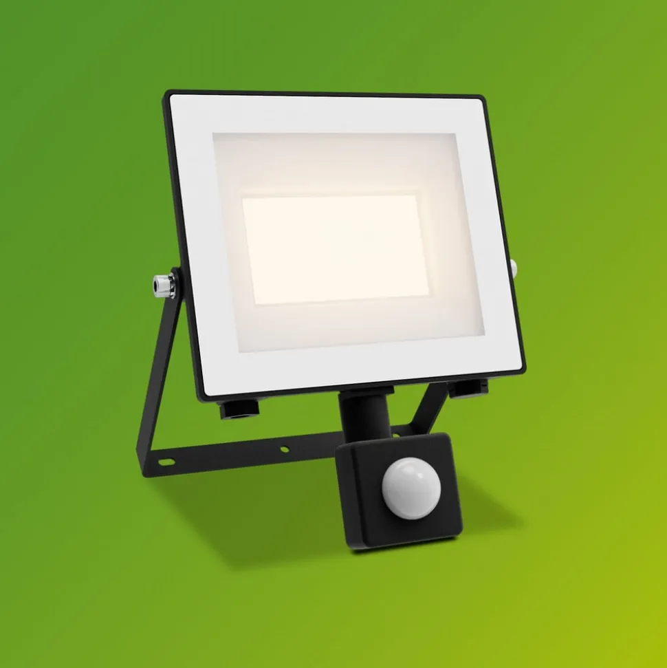 Philips LED-buitenspot Lois UE Sensor, 14 W, 3.000 K IP65