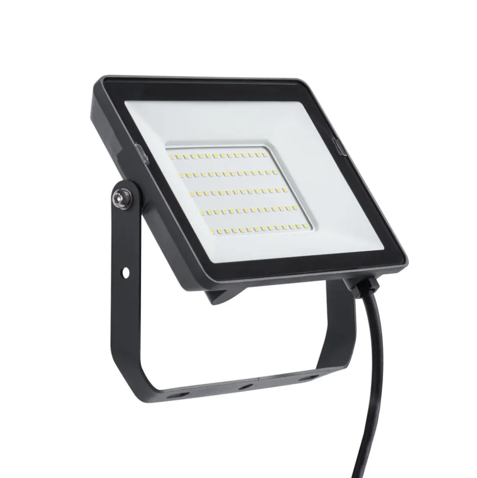 Philips ProjectLine buitenspot Sensor 3000K 50W