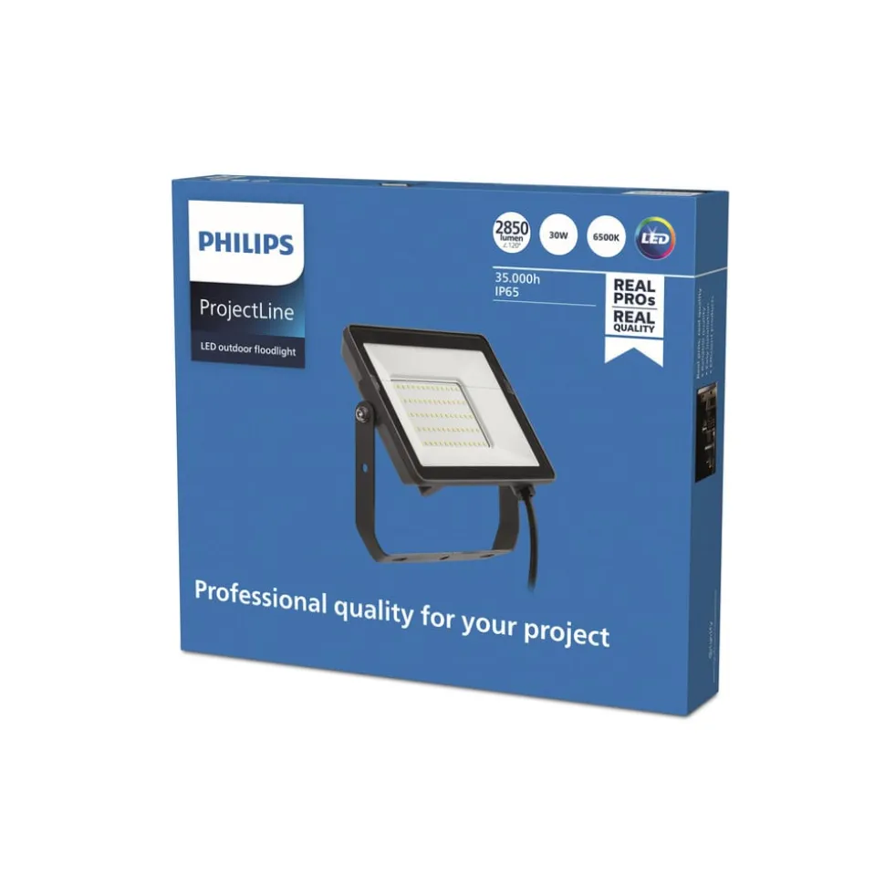 Philips ProjectLine LED buitenspot 6.500K 30W