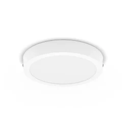 Philips Slim Surface LED 4.000K rond 21cm wit