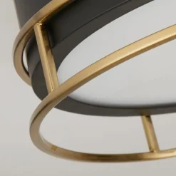 Phoenix plafondlamp, Ø 30 cm, zwart/messing, IP44