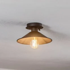 Plafondlamp Berceste N-659 1-lamp Ø24cm zwart