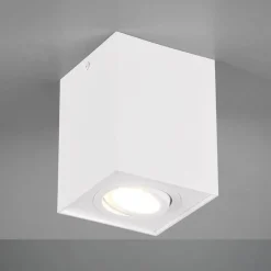 Plafondlamp Biscuit, 1-lamp, wit