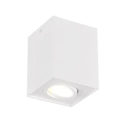 Plafondlamp Biscuit, 1-lamp, wit