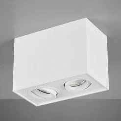 Plafondlamp Biscuit, 2-lamps, wit