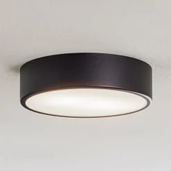 Plafondlamp Cleo, Ø 30 cm, IP20, zwart, metaal, E27
