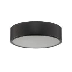 Plafondlamp Cleo, Ø 30 cm, IP20, zwart, metaal, E27