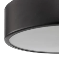 Plafondlamp Cleo, Ø 30 cm, IP20, zwart, metaal, E27