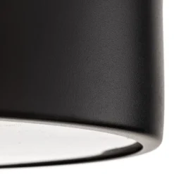 Plafondlamp Cleo 300, IP54, Ø 30 cm zwart