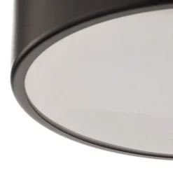 Plafondlamp Cleo 300, IP54, Ø 30 cm zwart