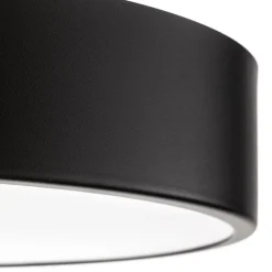 Plafondlamp Cleo 400, IP54, Ø 40 cm zwart