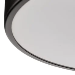 Plafondlamp Cleo 400, IP54, Ø 40 cm zwart