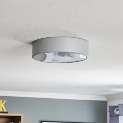 Plafondlamp Cleo 300, IP54, Ø 30 cm grijs