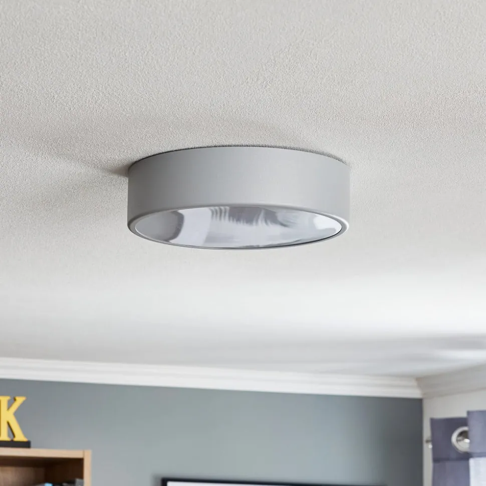 Plafondlamp Cleo 300, IP54, Ø 30 cm grijs