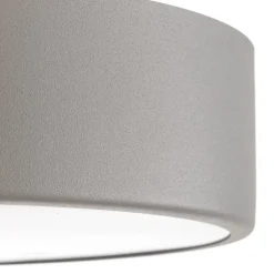 Plafondlamp Cleo 300, IP54, Ø 30 cm grijs