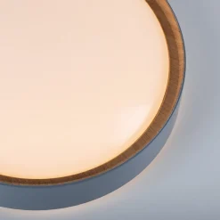 Plafondlamp Emilia, drievoudig dimbaar, grijs