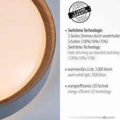 Plafondlamp Emilia, drievoudig dimbaar, grijs