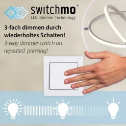 Plafondlamp Emilia, drievoudig dimbaar, grijs