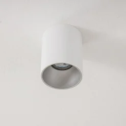 Plafondlamp Eye Tone, wit/zilver