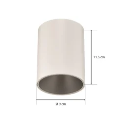 Plafondlamp Eye Tone, wit/zilver