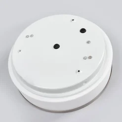 Plafondlamp Flush IP44, Ø 28cm, zilver gesatineerd