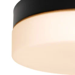 Plafondlamp Ikaro zwart, Ø 18 cm, metaal, kunststof