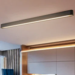 Plafondlamp Soft, 125 x 6 cm, grafiet, aluminium, G13