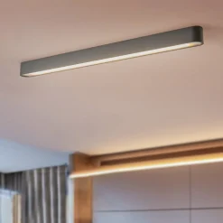 Plafondlamp Soft, 95 x 6 cm, grafiet, aluminium, G13