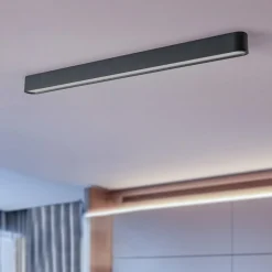 Plafondlamp Soft, 95 x 6 cm, grafiet, aluminium, G13